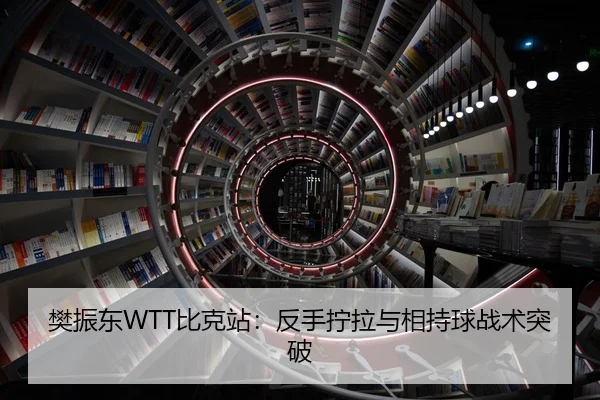樊振东WTT比克站：反手拧拉与相持球战术突破