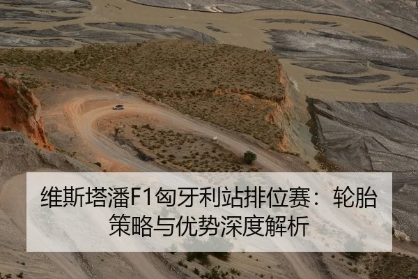 维斯塔潘F1匈牙利站排位赛：轮胎策略与优势深度解析