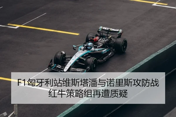 xiong-ya-li-zhan-wei-si-ta-pan-yu-nuo-li-si-gong-fang-zhan-hong-niu-ce-lve-zu-zai-zao-zhi-yi-3-463.jpg