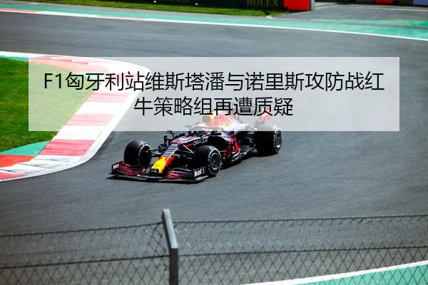 F1匈牙利站维斯塔潘与诺里斯攻防战红牛策略组再遭质疑