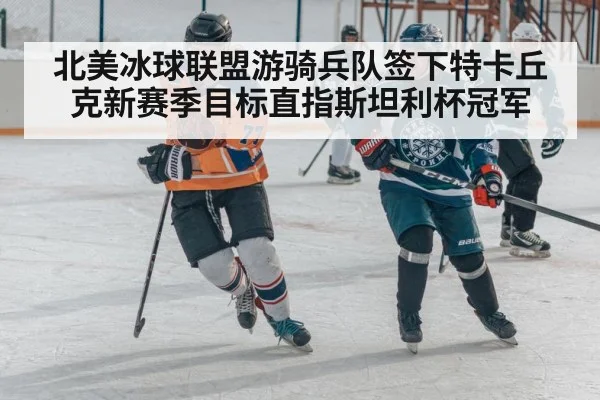 北美冰球联盟游骑兵队签下特卡丘克新赛季目标直指斯坦利杯冠军