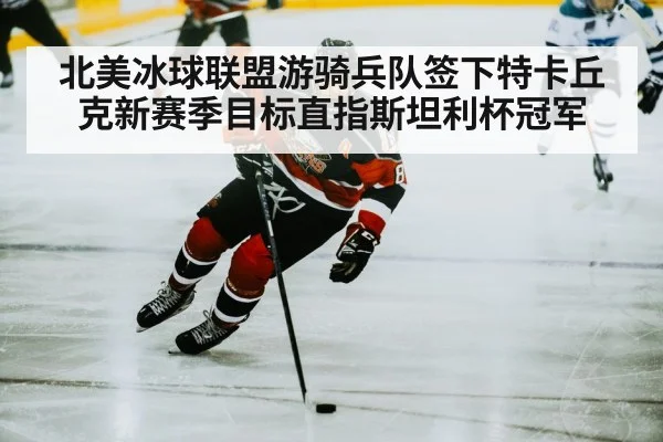 hockey player skating